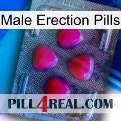 Male Erection Pills 13